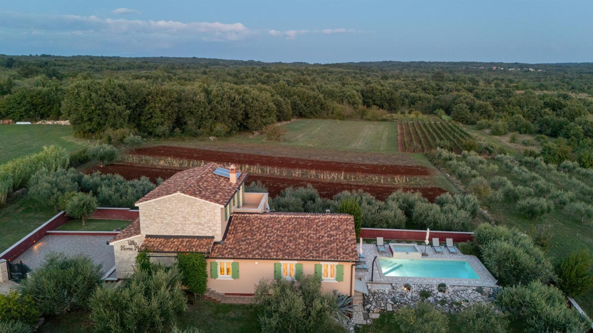 Villa Nona Marija Sveti Lovreč Pazenatički Exteriér fotografie